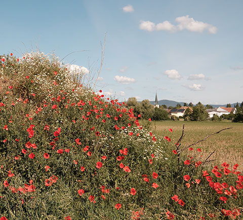 Unsere Mitgliedsbetriebe